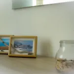 Viverenumana La Tua Casa In Centro A Pochi Passi Dal Mare Numana